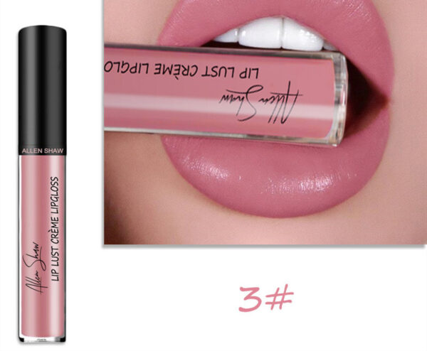 Silky Cream Texture Lip Gloss Cross-Border Exclusive Lip Glaze Lip Gloss Lipstick - Image 3