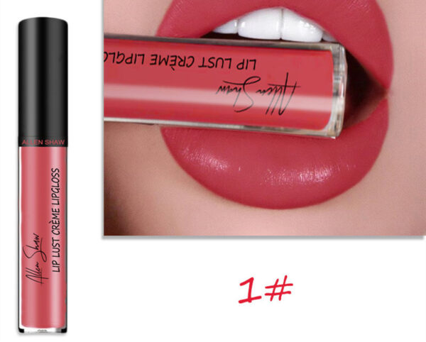 Silky Cream Texture Lip Gloss Cross-Border Exclusive Lip Glaze Lip Gloss Lipstick - Image 2