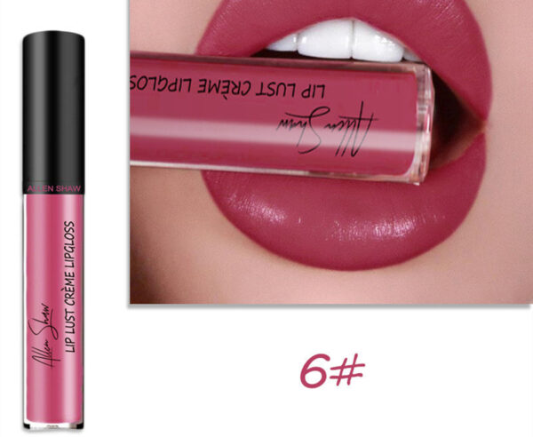 Silky Cream Texture Lip Gloss Cross-Border Exclusive Lip Glaze Lip Gloss Lipstick - Image 4