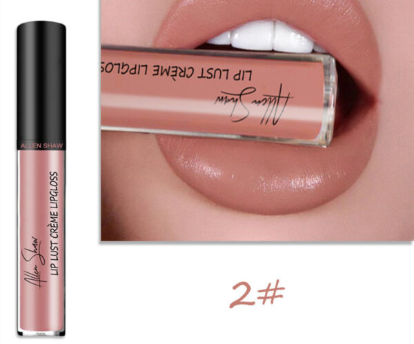 Silky Cream Texture Lip Gloss Cross-Border Exclusive Lip Glaze Lip Gloss Lipstick - Image 10