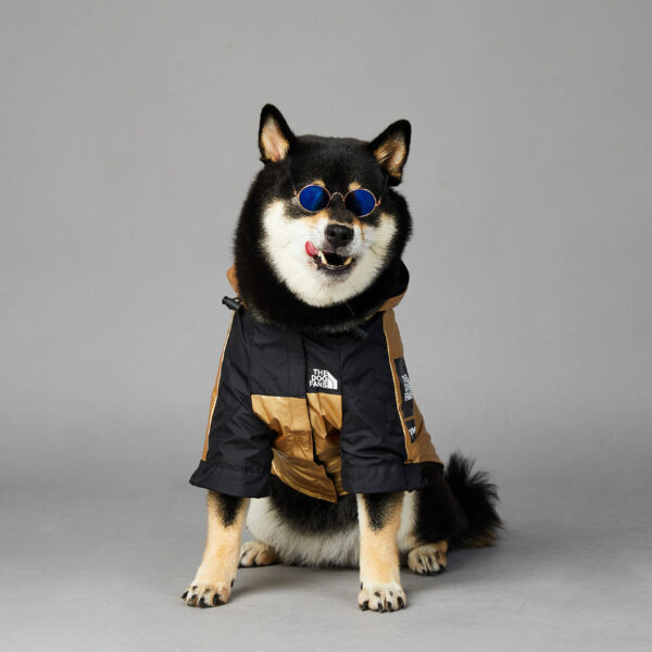 Windproof And Rainproof Dog Large Dog Raincoat Shell Jacket - Image 5