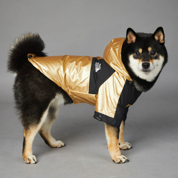 Windproof And Rainproof Dog Large Dog Raincoat Shell Jacket - Image 4